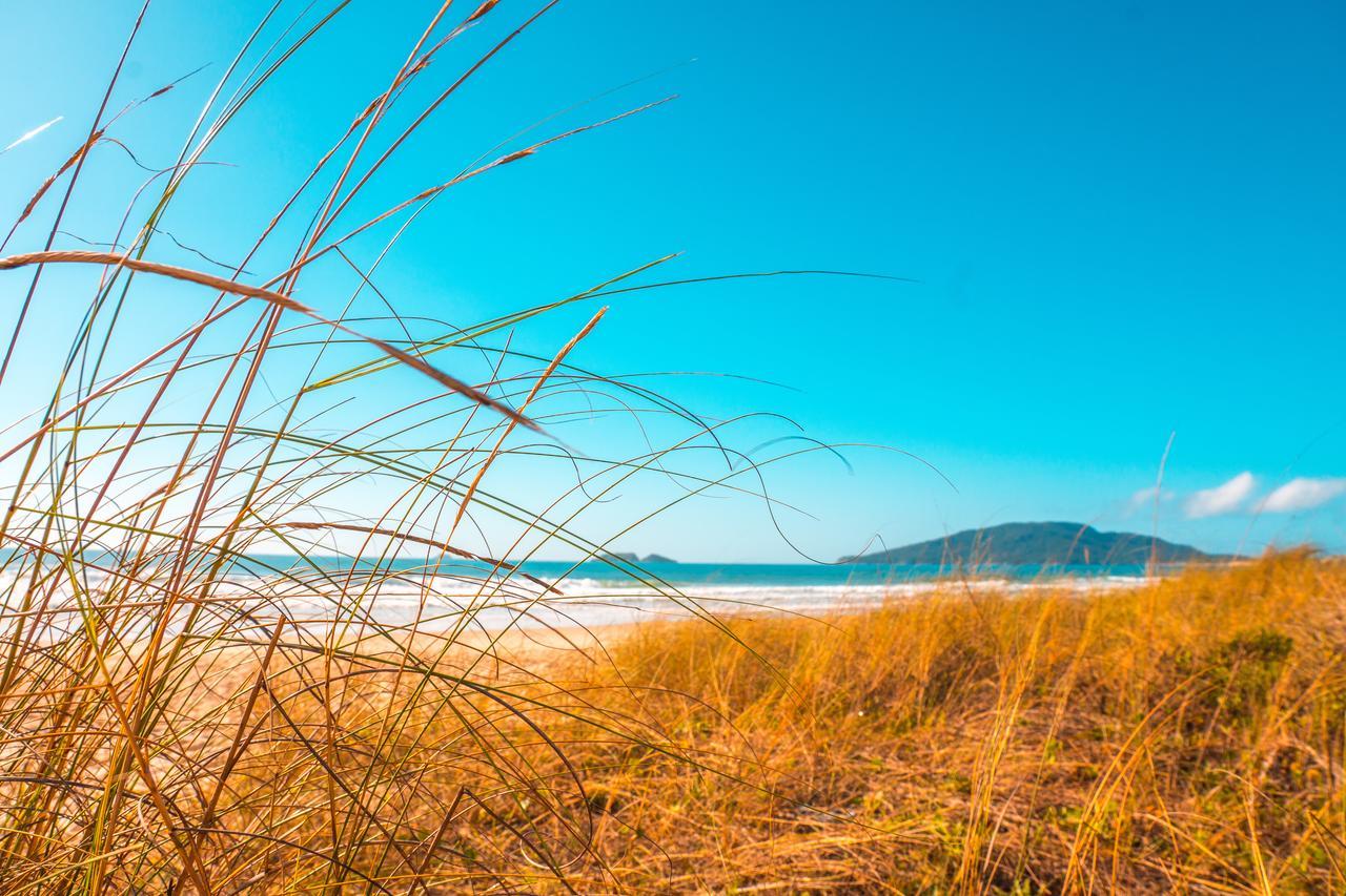 Apto Na Praia Do Ingleses Florianópolis Εξωτερικό φωτογραφία